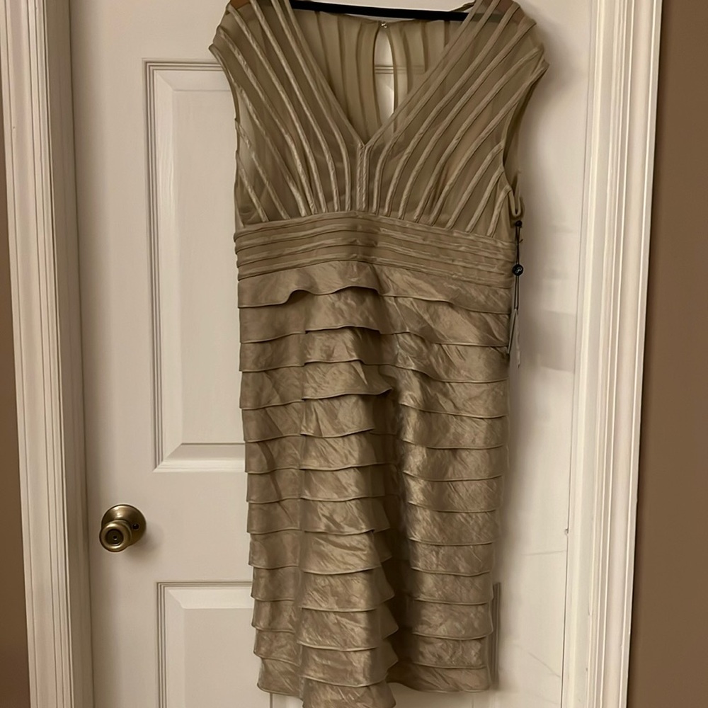 Adrianna Papell Shimmer Net Dress